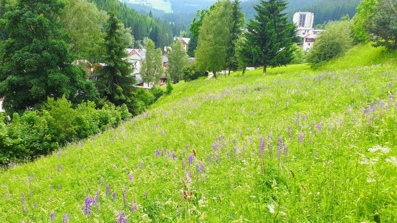Apartmán Liška - Horalka, Pec pod Sněžkou Pec pod Snezkou Exterior foto